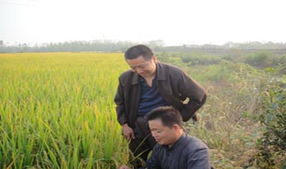 農(nóng)業(yè)工程師職業(yè)大全 多領(lǐng)域發(fā)展與職業(yè)前景