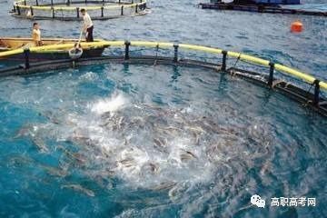 水產養殖技術、專業介紹及就業前景分析
