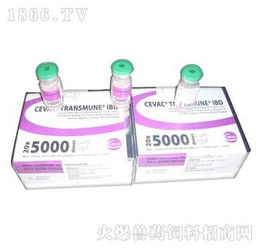 鄭州翰威畜牧科技 獸藥飼料火爆招商，賦能現(xiàn)代畜牧漁業(yè)新篇章